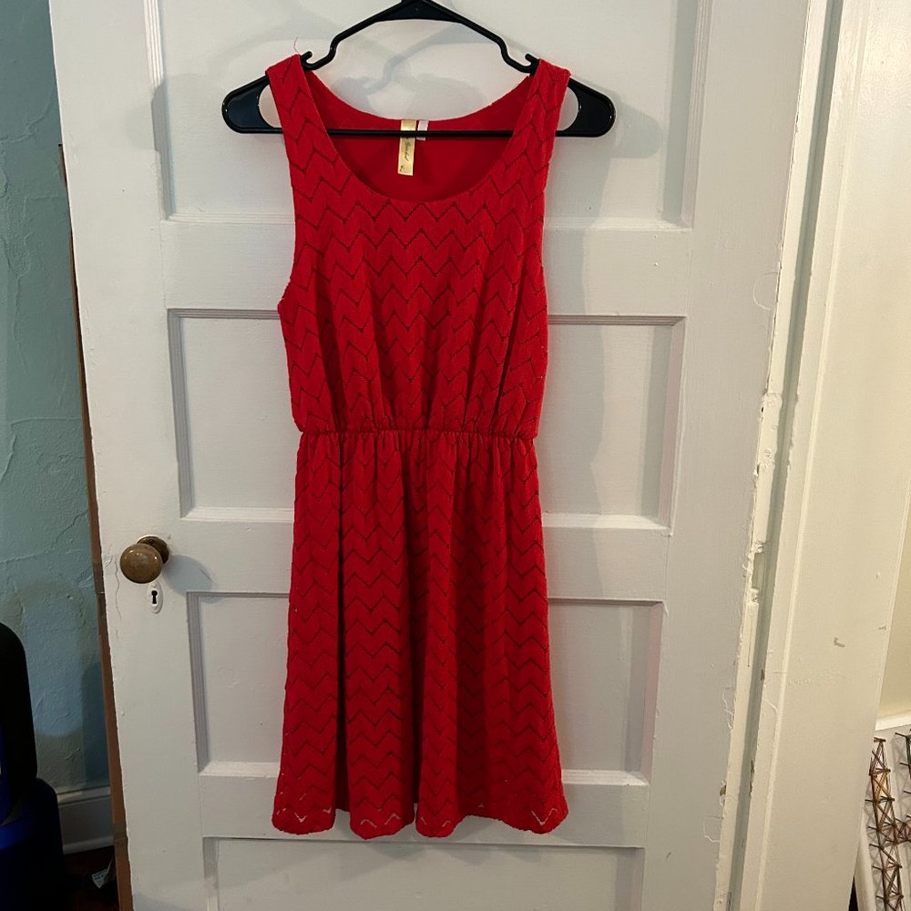 Bee Stitched from Francesca's Nylon Summer Dress